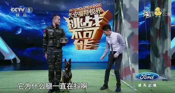 天生就怕高,但身為警犬它卻得爬上「8公尺」的高坡挑戰,雙腳發抖模樣讓人看了都要心疼死!