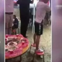 總統任命 范巽綠今上任教育部政次