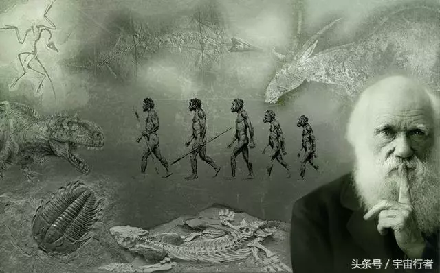 人走後幾個小時會發生什麼?科學家臨床實驗,無意間發現奇怪現象