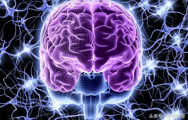人走後幾個小時會發生什麼?科學家臨床實驗,無意間發現奇怪現象