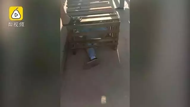 悲劇!母親遭歹徒持刀搶劫,兒子徒手制止卻被刺死