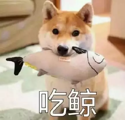 避開做這8個動作的狗,你被傷害的幾率將大大減小!