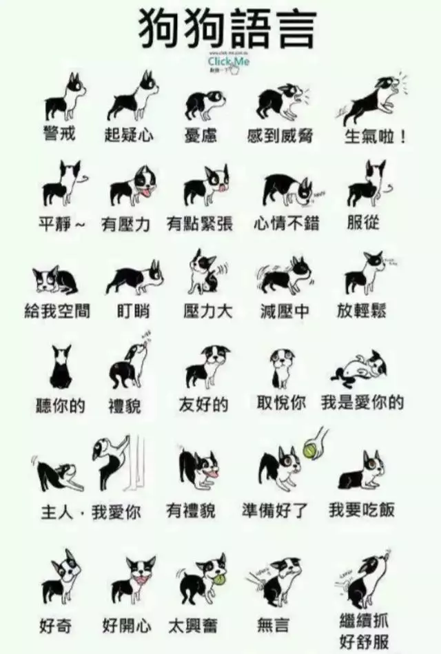避開做這8個動作的狗,你被傷害的幾率將大大減小!