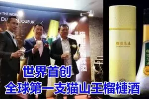 吉州西嶺橋塌 摩哆墜河 2騎士斃命!