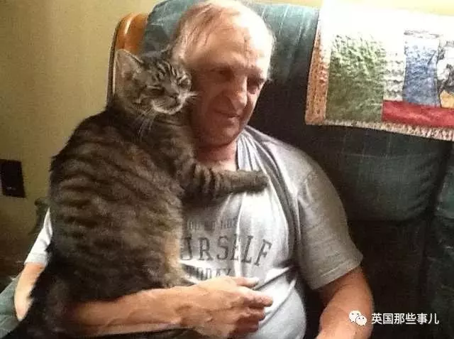 妹子辛辛苦苦救回來的貓,居然被她老爸拐跑了……恩?!