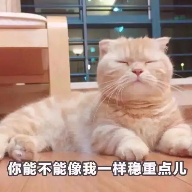 你家有養了很多年的貓嗎?貓步入老年的2大信號,鏟屎官需注意