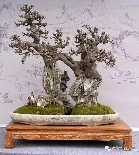 據說玩盆景有七個層次,看看你到那層?