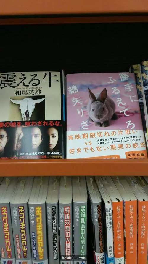 16家心機店員絞盡腦汁吸引大家衝進書店的「超故意陳列方式」!