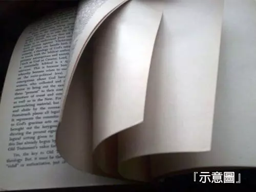 法國300萬人功能性文盲 求職或保住工作成阻礙
