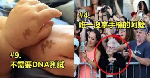 20張「你必須放下手邊的工作,仔細看一看」的療癒系照片!
