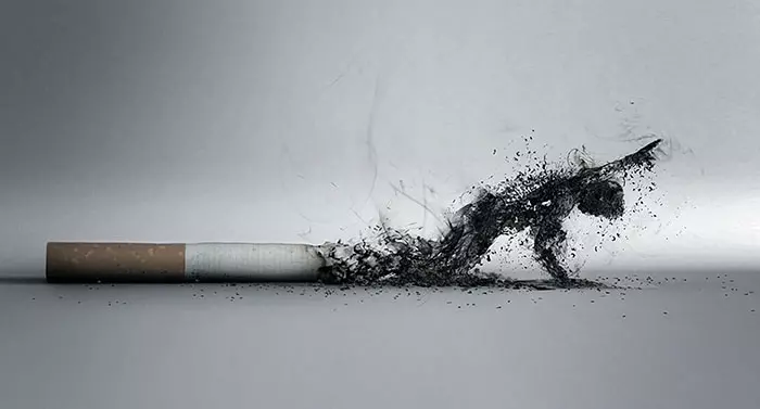 看了這30張照片80%的人都不敢抽菸了!