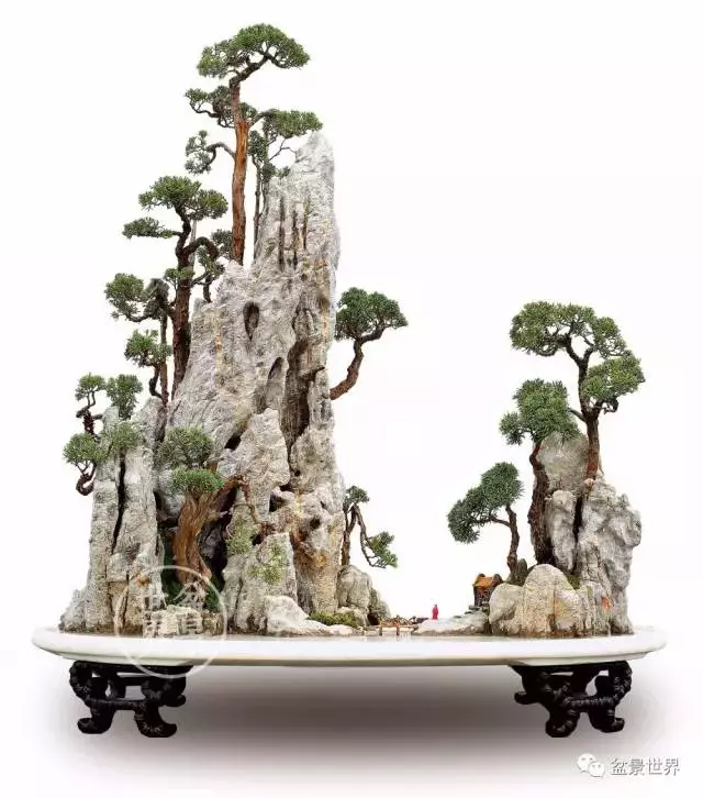 最美的100盆真柏盆景(建議收藏)