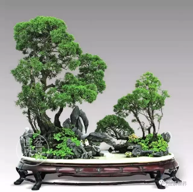最美的100盆真柏盆景(建議收藏)