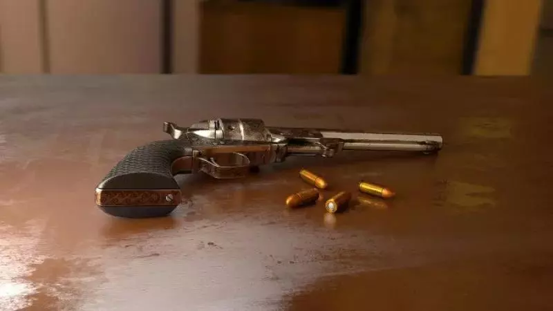 11歲男童把玩父親槍械,擦槍走火打死2歲妹妹,舉槍自轟身亡!