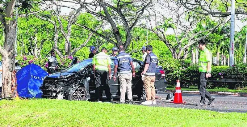 熬夜開車賺錢撞樹乘客送命!大學生害人害己被關4週和吊銷駕照5年!