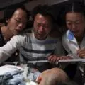 熬夜開車賺錢撞樹乘客送命!大學生害人害己被關4週和吊銷駕照5年!