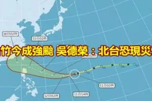 熬夜開車賺錢撞樹乘客送命!大學生害人害己被關4週和吊銷駕照5年!