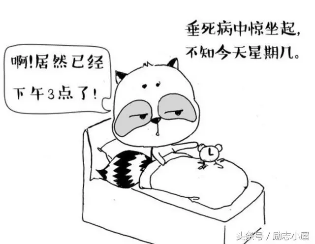 懶惰可以毀掉一個人!(深度好文)
