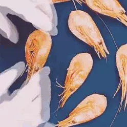 每一種水果,都有它獨特的打開方式,小技能學起來