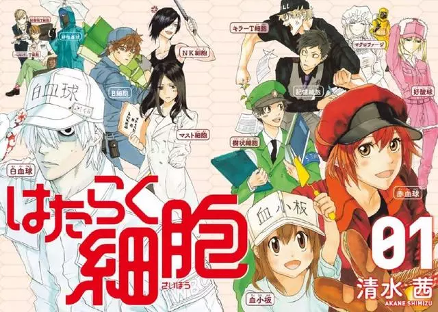 連工作細胞都輸給這部番!8月新番官推粉絲量TOP20