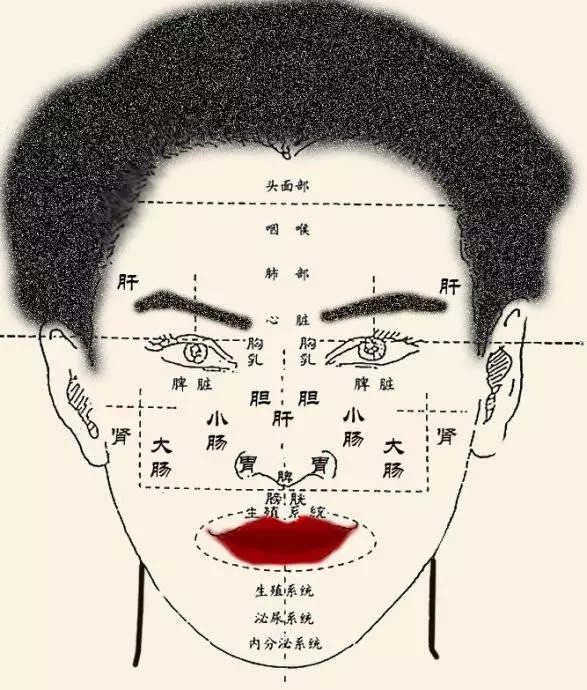 身體是否健康,看看面部就知道!中醫教你30秒自測!