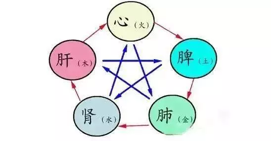 心、肝、脾、肺、腎,這五臟藏毒都有哪些表現?如何排除五臟毒