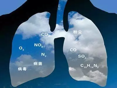 心、肝、脾、肺、腎,這五臟藏毒都有哪些表現?如何排除五臟毒