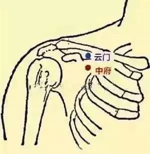想要秋天少生病,一定要拍打此處11穴,大病小病它都管!