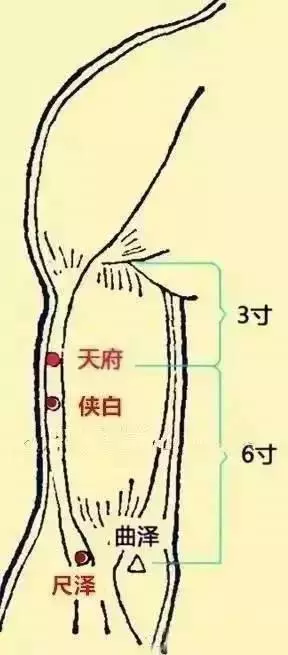 想要秋天少生病,一定要拍打此處11穴,大病小病它都管!