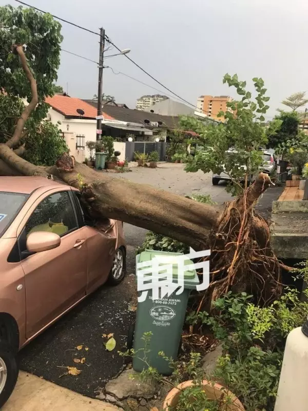暴風雨吹襲隆市舊古仔路、快樂花園及沙叻秀花園,造成多棵大樹倒塌,超過10輛轎車遭壓毀及民宅屋頂遭掀起!