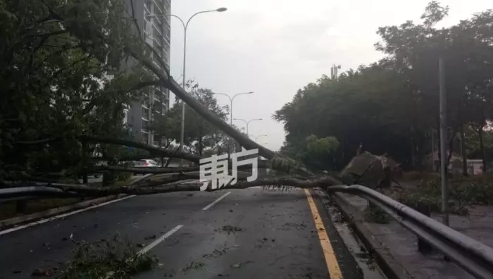 暴風雨吹襲隆市舊古仔路、快樂花園及沙叻秀花園,造成多棵大樹倒塌,超過10輛轎車遭壓毀及民宅屋頂遭掀起!