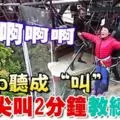 暴風雨吹襲隆市舊古仔路、快樂花園及沙叻秀花園,造成多棵大樹倒塌,超過10輛轎車遭壓毀及民宅屋頂遭掀起!
