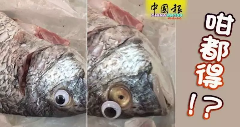 幫死魚貼「美瞳」裝新鮮魚店手法拙劣遭查封