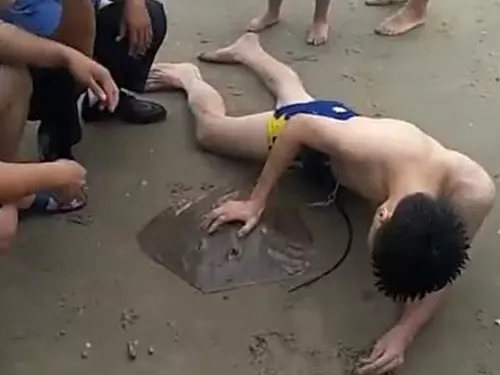 游泳遭魔鬼魚尾刺勾下體網友看到畫面後忍不住為男子喊疼