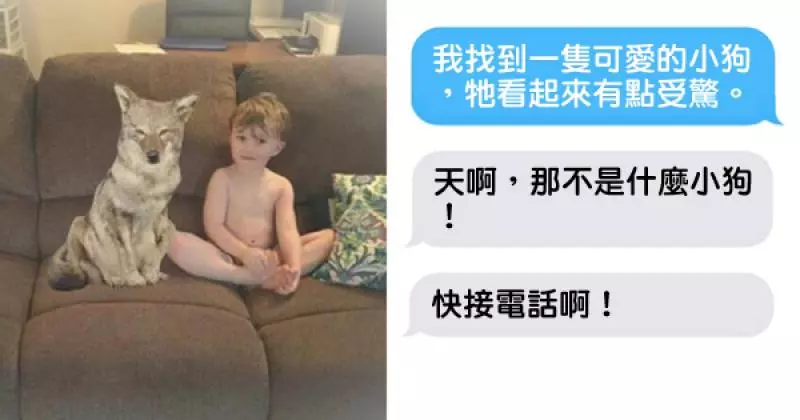 天兵老婆傳照片告訴老公「我帶了狗狗回家」,老公一看就認出那是野狼頓時嚇得魂飛魄散…