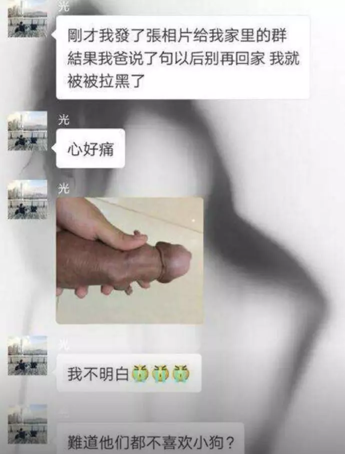 因為小狗照被趕出家門?分享強者友人的悲劇 竟讓網友笑到美叮噹:跳進黃河洗不清