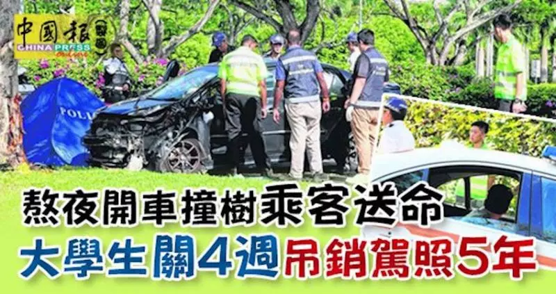 23歲大學生熬夜開車撞樹乘客送命!!被判坐牢4周,吊銷各級執照5年。