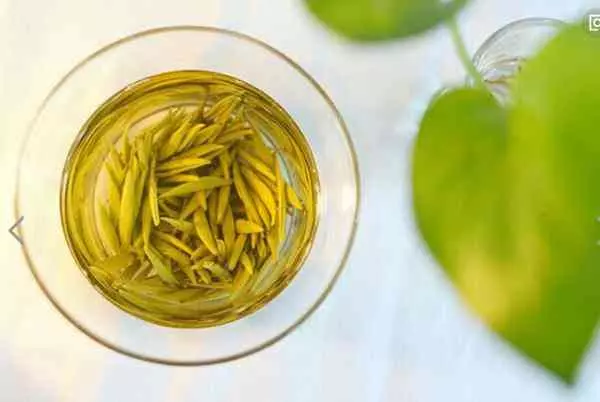 隔夜茶不能喝嗎,其實對人體有好處,要多喝