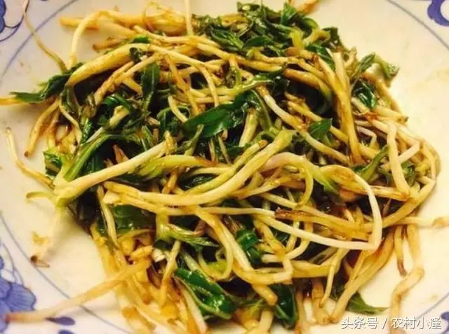 17道下飯菜,有葷有素營養搭配,每天一個花樣,七天晚餐不用愁!