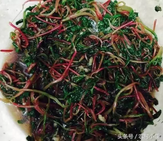 17道下飯菜,有葷有素營養搭配,每天一個花樣,七天晚餐不用愁!