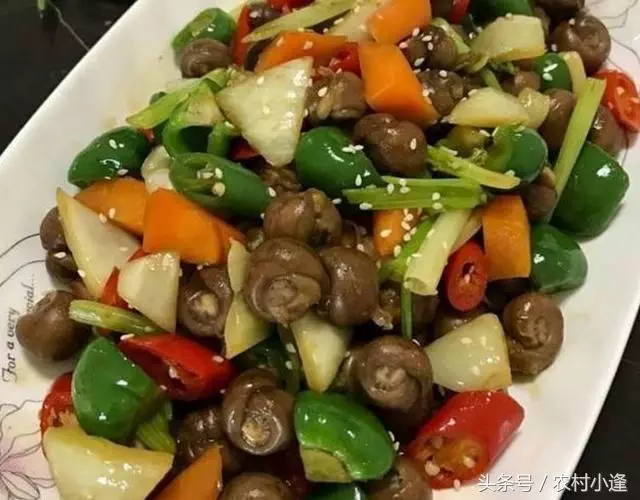 17道下飯菜,有葷有素營養搭配,每天一個花樣,七天晚餐不用愁!