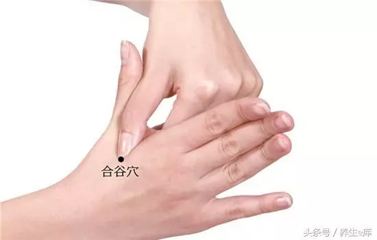 入秋後,晨起口乾、口苦,小心3種「火」,謹記「三茶、四穴」!