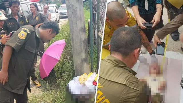只因難忍嬰兒哭鬧,殘忍父親捂死嬰兒拋棄路邊