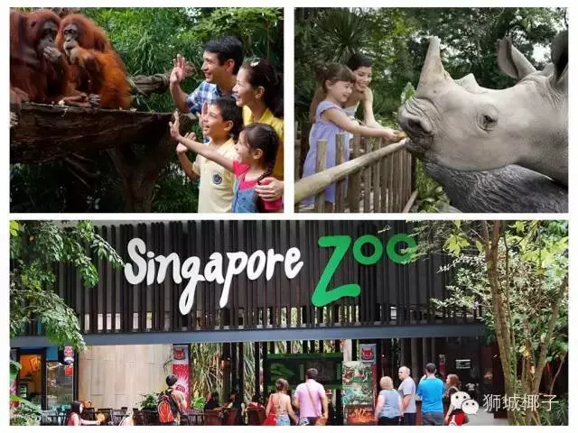 Famaosinmalaysia - 7個只有在新加坡才可以體驗的獨特sleepover
