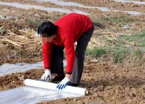 我結婚,繼母只陪嫁一袋麵粉,我生氣丟一邊,一次和面打開卻傻了
