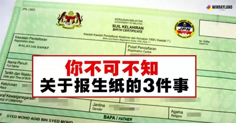 你不可不知關於報生紙的3件事