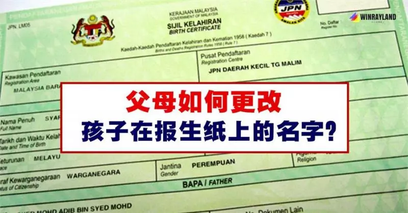 你不可不知關於報生紙的3件事