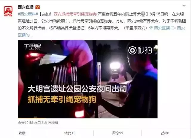 史上最嚴養犬令,向不文明養狗說再見?