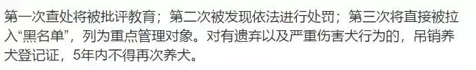 史上最嚴養犬令,向不文明養狗說再見?