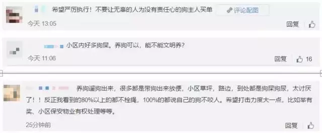 史上最嚴養犬令,向不文明養狗說再見?